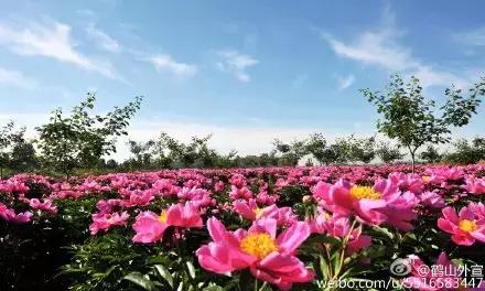 太太受委屈,太太委屈