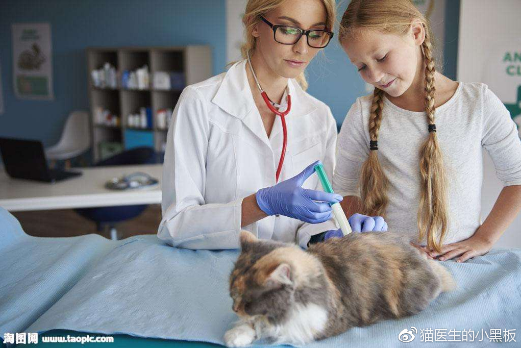 怎么看兽医靠不靠谱,不靠谱的小兽医