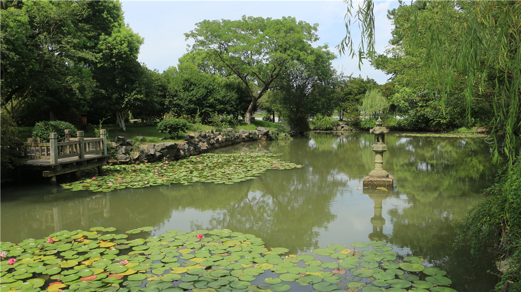 品山水美景房子,品农家菜