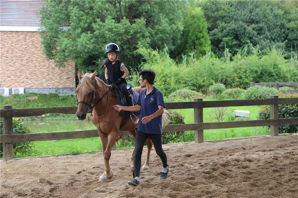 品农家菜,品农家美食