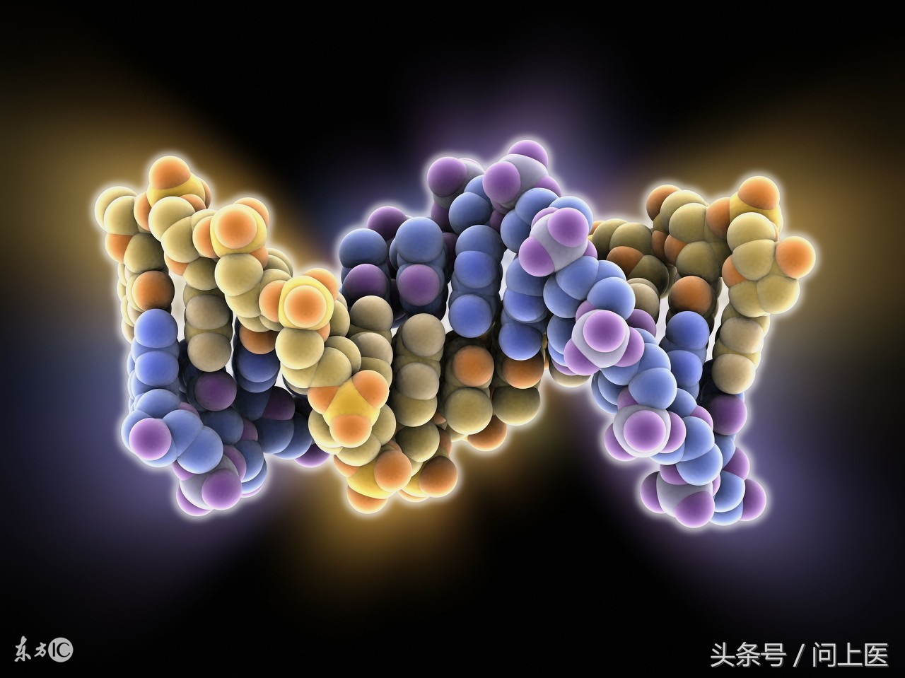 尿蛋白高肾病综合征最快解决方法,高血压肾病尿蛋白3+会出现水肿吗