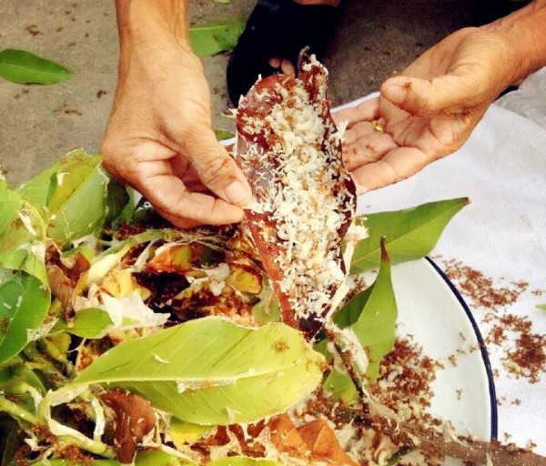 这些美味的虫子你敢吃吗,盘点可以吃的虫子