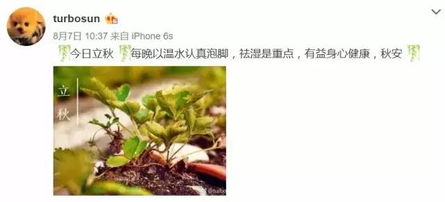 孙俪新剧未拍先火,孙俪看了甄嬛传