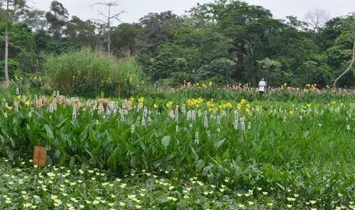 上海地铁直达花海,上海地铁9号线景点