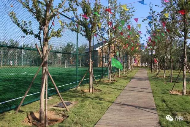 齐文化博物馆的镇馆之宝蹴鞠,蹴鞠游园活动