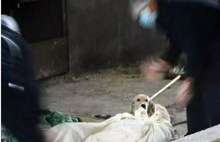 流浪汉冻死街头后续,流浪汉冻死在雪地