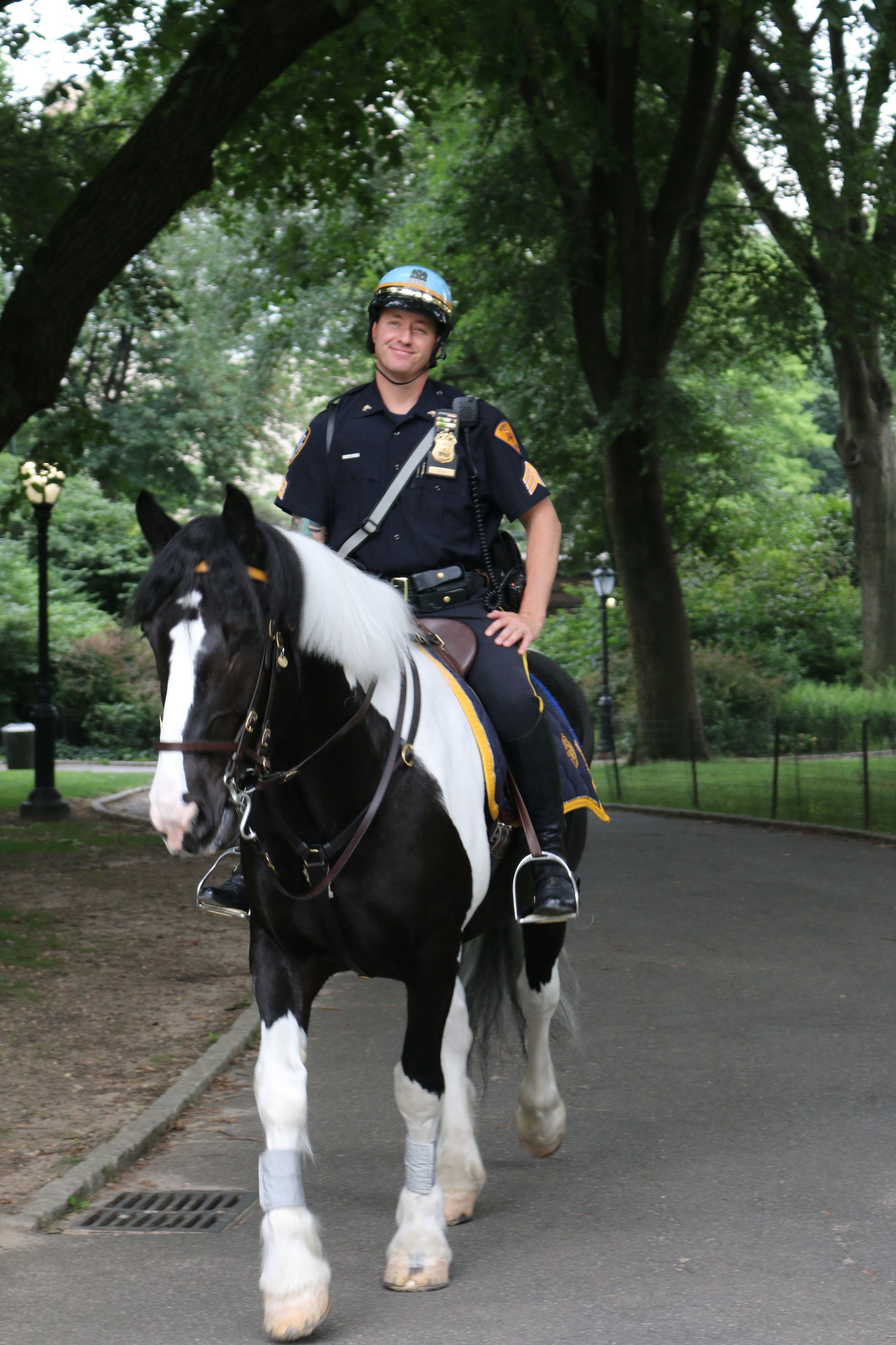 纽约游记,美国纽约日记全集