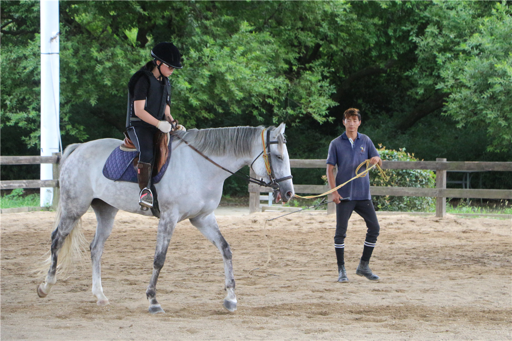 嘉兴南北湖农家乐推荐,嘉兴南北湖农家