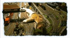 要主子还是火车？当喵星人侵入你的宝贝火车模型沙盘之后