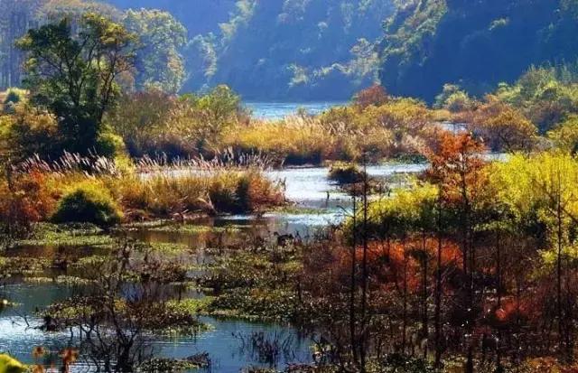 岭南九寨沟旅游攻略,广东自驾游去九寨沟攻略