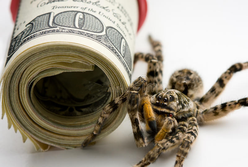 印度经济为什么会增长得这么快,印度经济飞速增长了吗