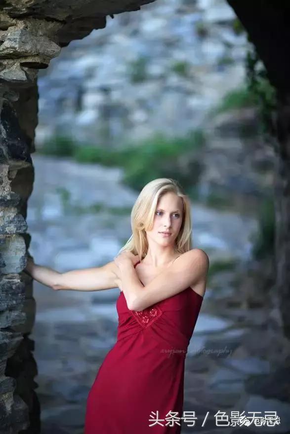 佳能l级镜头,佳能l级红圈系列