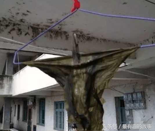 坐地铁回去的路上好像发现了什么！