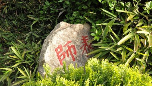 那些年我的校园往事,那些年我的读书生活