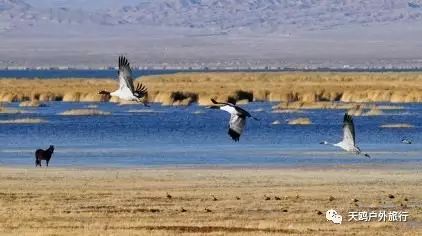 一大一小两个情侣湖，国庆来西域敦煌必经之路，一起秀恩爱吧！