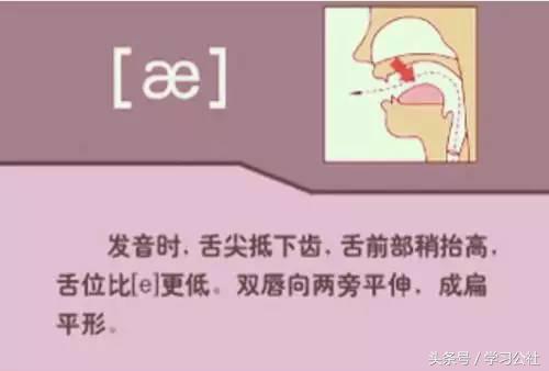 夏沫英语48个音标教学视频,英语音标教学视频48个快速记忆法
