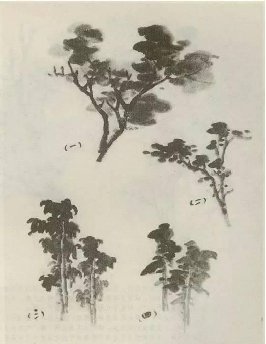 山水画画树的教学视频,山水画基础画树技法合集