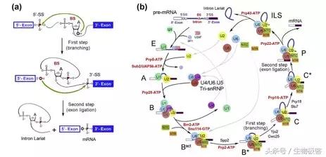 施一公回驻马店视频,施一公回清华大学的视频