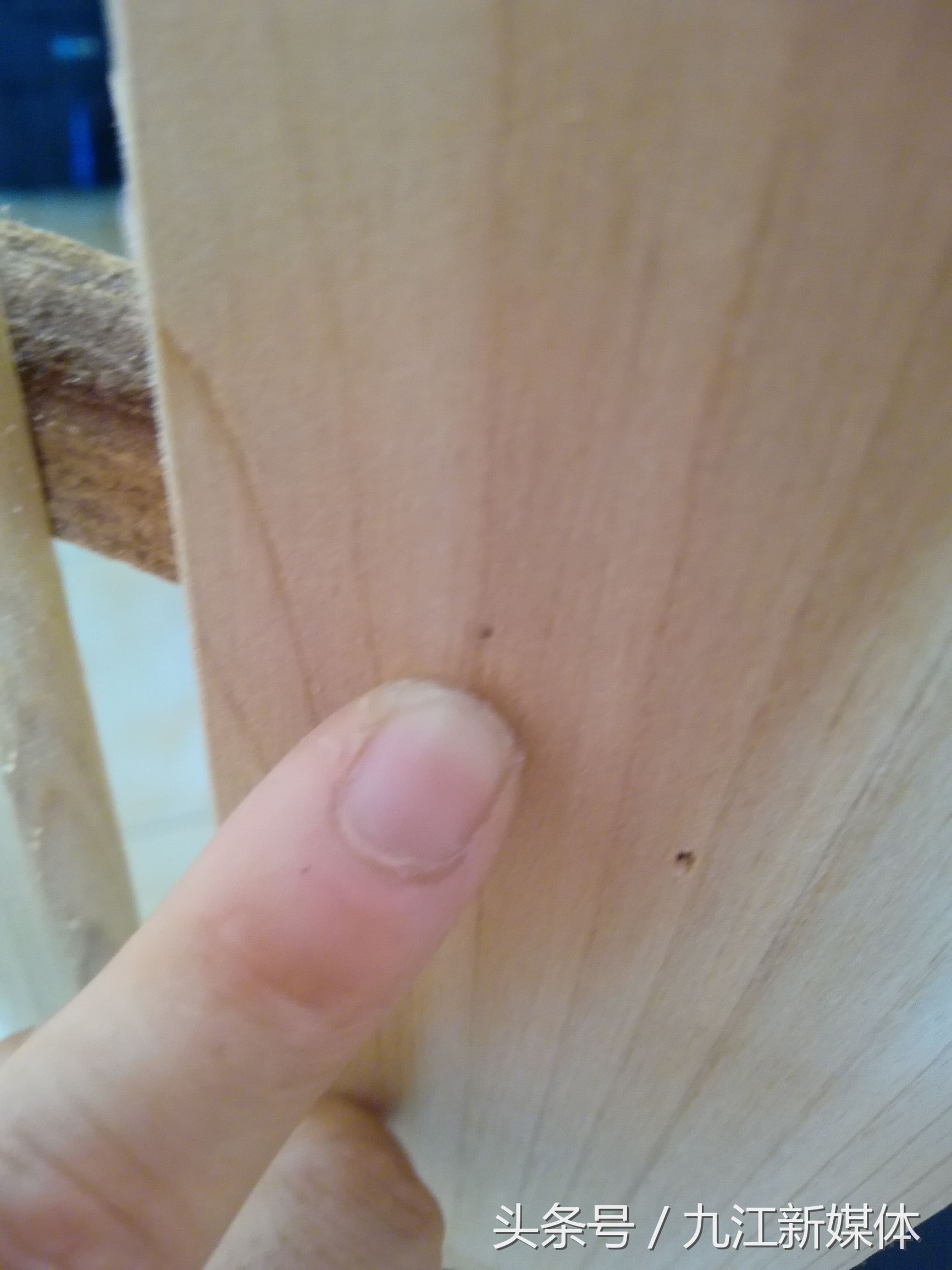 床上最吓人的虫子,床上出现可怕的虫子