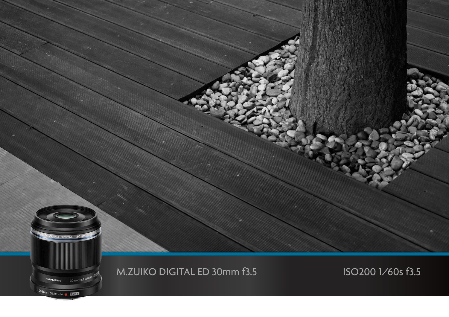 奥林巴斯微距镜头,奥林巴斯40-150可以拍微距吗