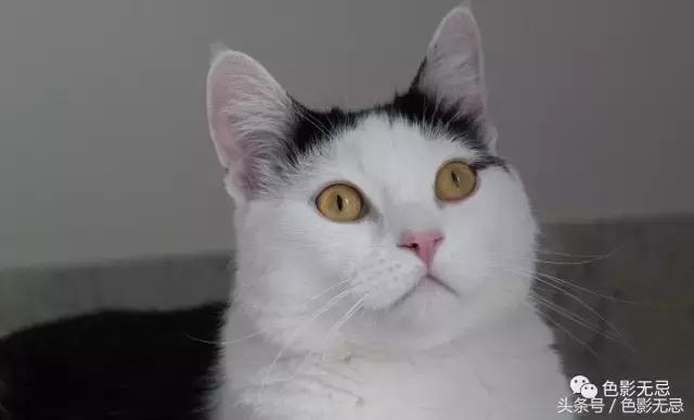 关于尼康d850的一些问答,尼康d850买回来怎么打开