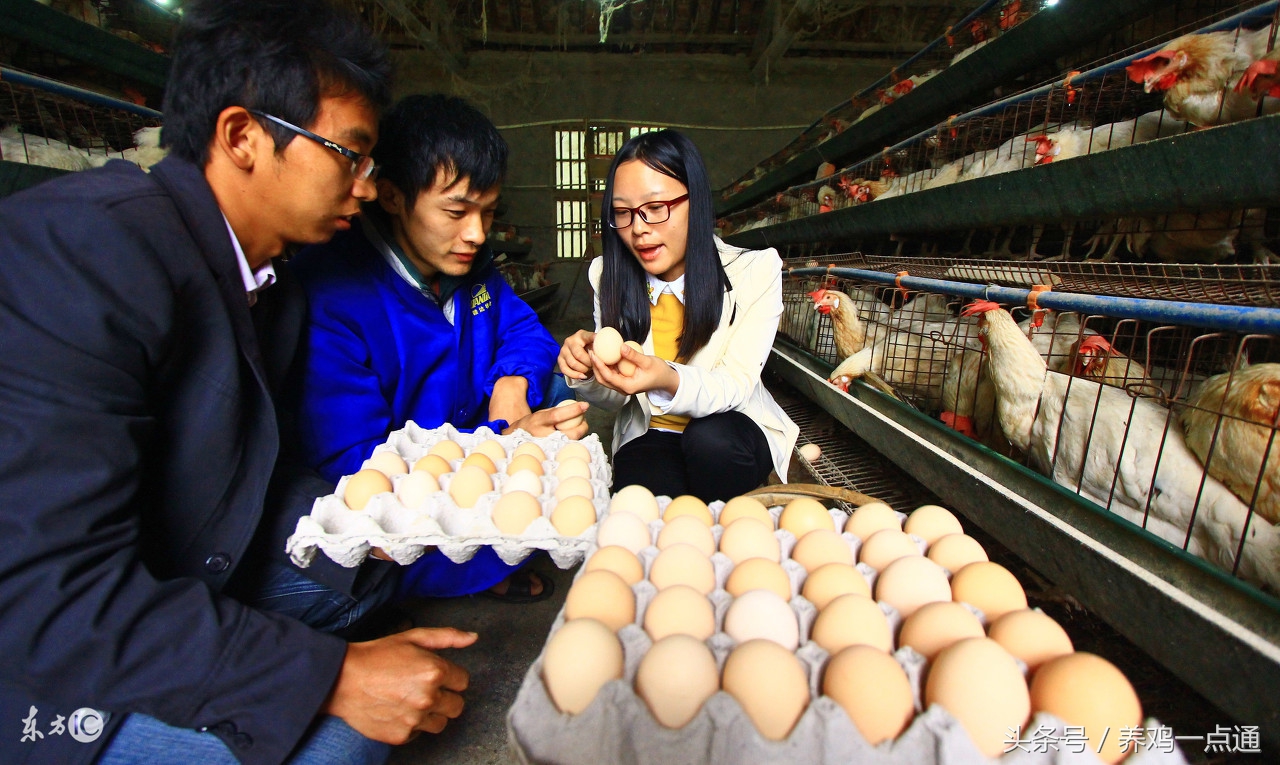 做兽医要什么条件,做兽医要学什么