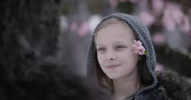 猩球崛起得了什么奖项,猩球崛起靠谱吗