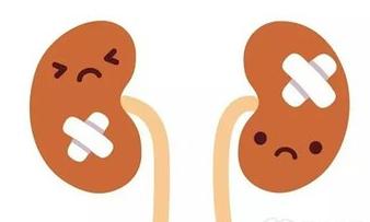 医生多次告诫，所有肾病饮食绝对“禁止”的食物，别再犯傻！