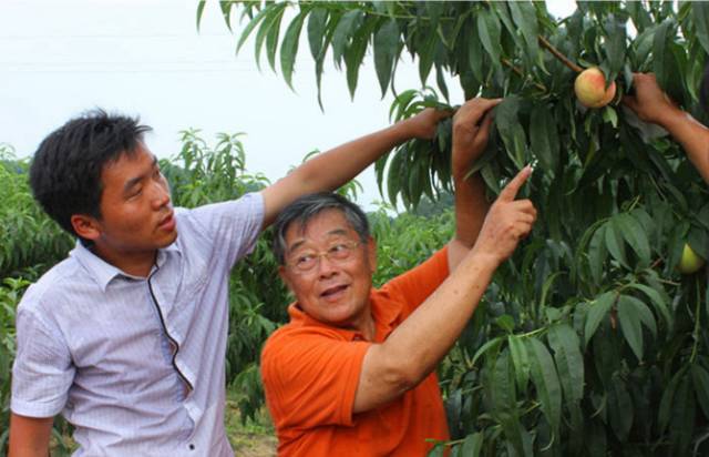 镇江有轨电车,镇江有名的塔叫什么塔