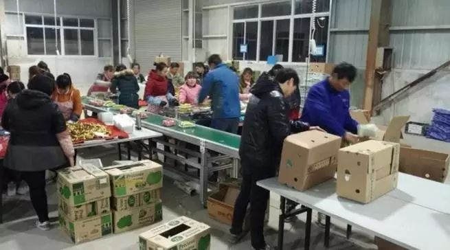 许鲜网介绍,许鲜网项目案例分析