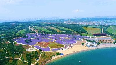 金石滩湿地公园,金石滩黄金海岸美丽景观