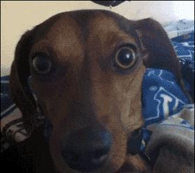 当科比遇到梅西,科比和梅西你会选择谁