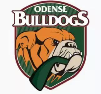 英国斗牛犬有多厉害,英国斗牛犬为什么凶猛