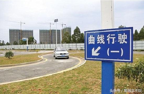 个子不高学什么专业好,矮个子学车应该加坐垫还是靠背