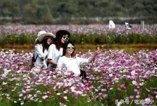 广西深秋好看的地方,广西的秋天哪里风景最美