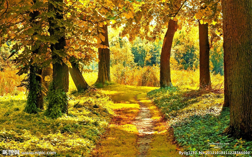 客厅屋顶漏水如何找漏水处,屋顶瓦漏水和檐沟漏水怎么处理