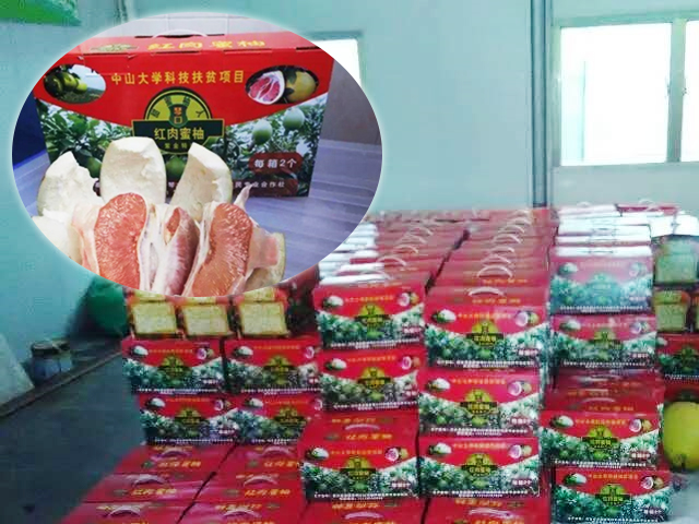 互联网时代乡村电商,乡村电商之路