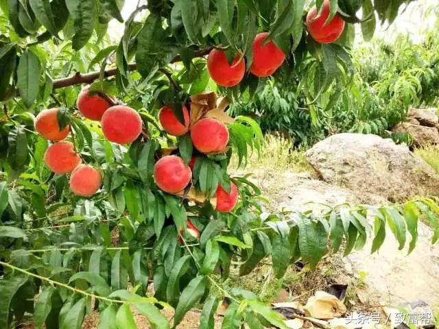 大学生在学校有什么好的创业,大学创业原来这么简单