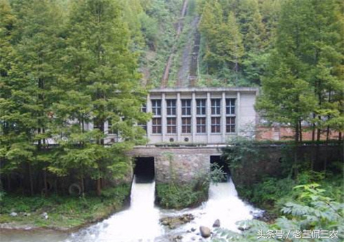 快速回本的十大农村项目,专家分析农村哪些项目最挣钱