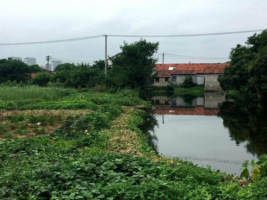 昆山张浦镇区域图,张浦飞地