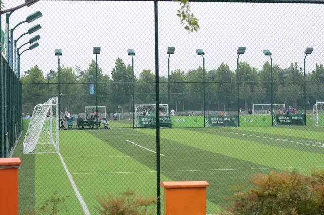 美丽的郑州北龙湖湿地公园,郑州北龙湖湿地公园初冬游记