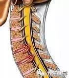 骨架平衡整脊术价目表,骨架平衡手法