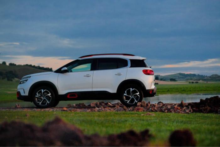 世上所有入流的美,都不相苟同