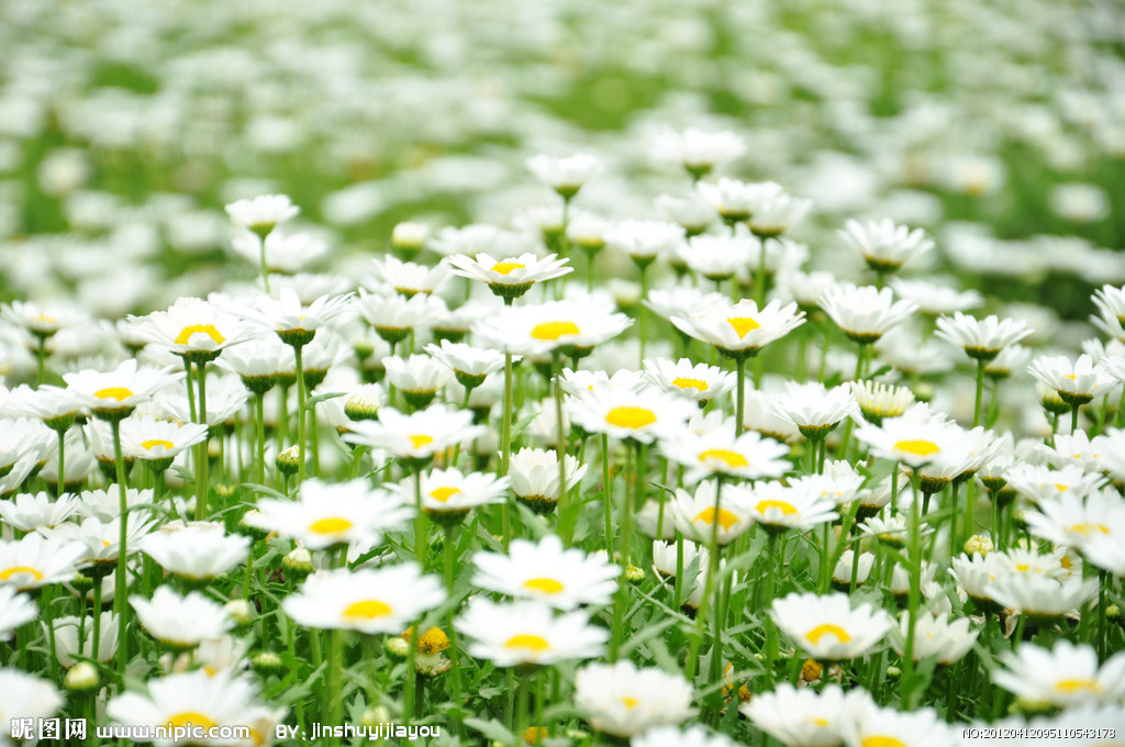 带孩子看3d电影最新上映,戴着3d眼镜可以看的儿童电影