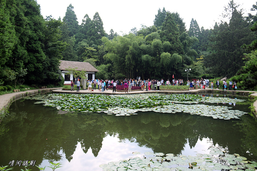 九江庐山自驾游怎么玩,在九江去庐山旅游攻略