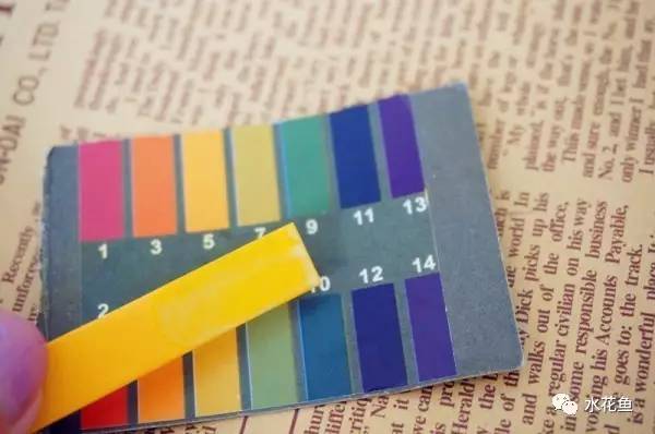 水体清澈情况下鱼会缺氧吗,淡水鱼缺氧是什么现象及施救办法