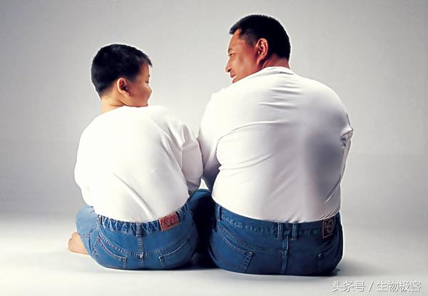 摄入果糖过多导致肥胖怎么弥补,科学研究发现降低血糖的食物