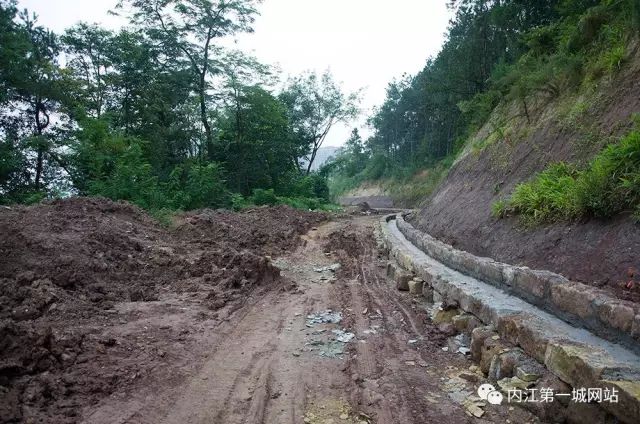 离主城最近的森林公园,离尘不离城的视频