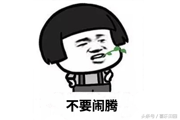 疼女朋友要用什么词,正确疼女朋友的方式