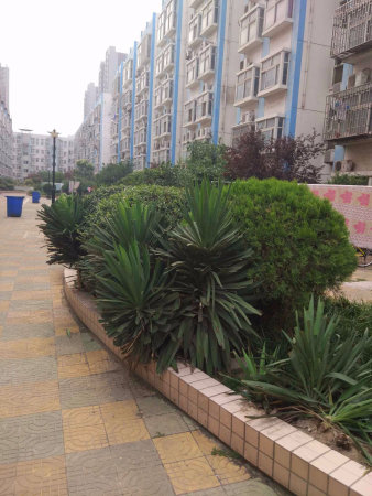 郑州市小偷入室偷窃,郑州小偷入室偷窃